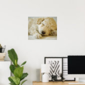 Poster Chien de caniche couché 2 (Bureau à domicile)