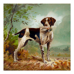 Poster Chien de chasse avec oiseau dans la bouche
