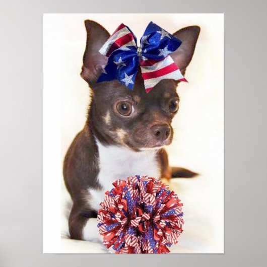Poster Chien de Chihuahua pom-pom girl (Devant)