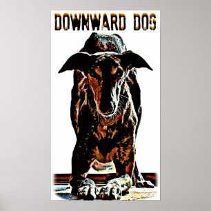 Poster Chien de haut en bas