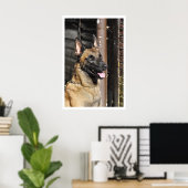 Poster Chien de la Garde Malinoise belge (Bureau à domicile)