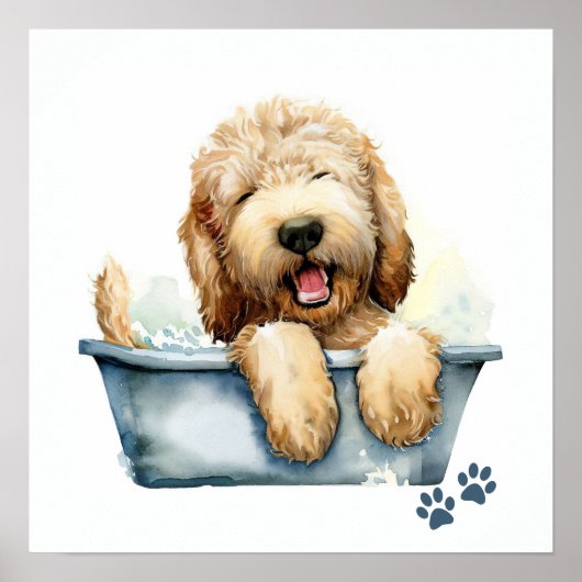 Poster Chien de Labradoodle (Devant)