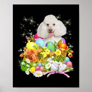 Poster Chien de lapin de caniche blanc avec oeufs de Pâqu