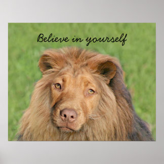 Poster Chien de Lion