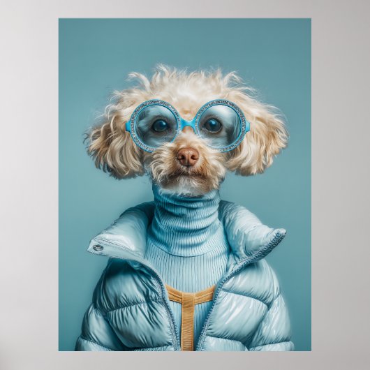 Poster Chien de mode en tenue bleue (Devant)