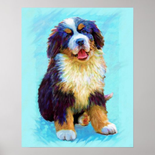 Poster chien de montagne bernois (Devant)