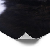 Poster Chien de montagne bernois (Coin)