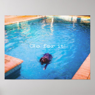 Poster Chien de natation