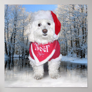 Poster Chien de Noël Bichon Frise