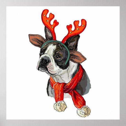 Poster Chien de Noël Boston terrier Jeter l'oreiller (Devant)