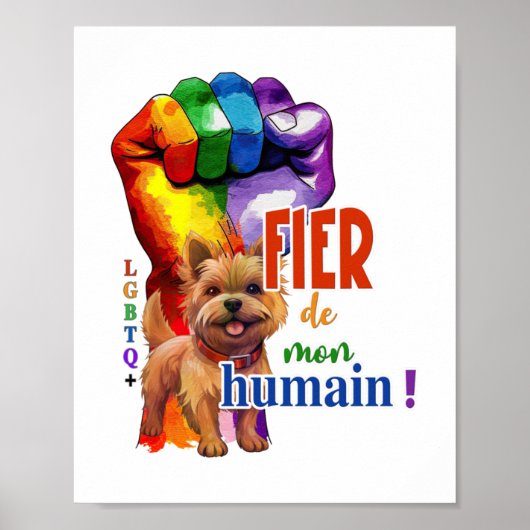 Poster Chien de Norwich Terrier (Devant)