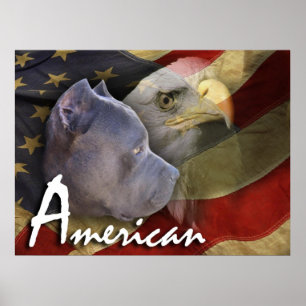 Poster Chien de Pitbull Terrier d'Américain, drapeau,