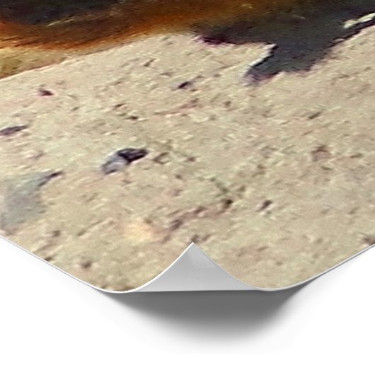 Poster "Chien de prairie à queue noire encadré (Coin)