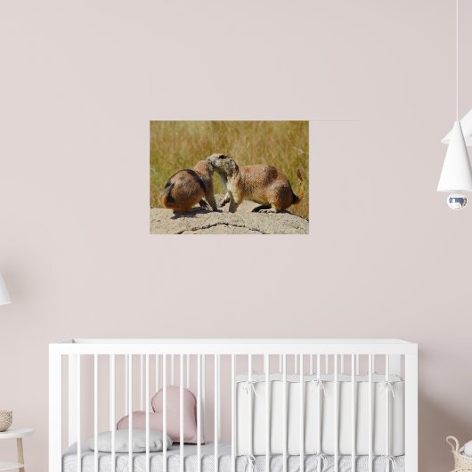Poster "Chien de prairie à queue noire encadré (Pépinière 2)