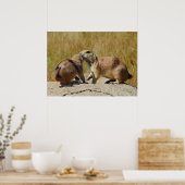 Poster "Chien de prairie à queue noire encadré (Cuisine)