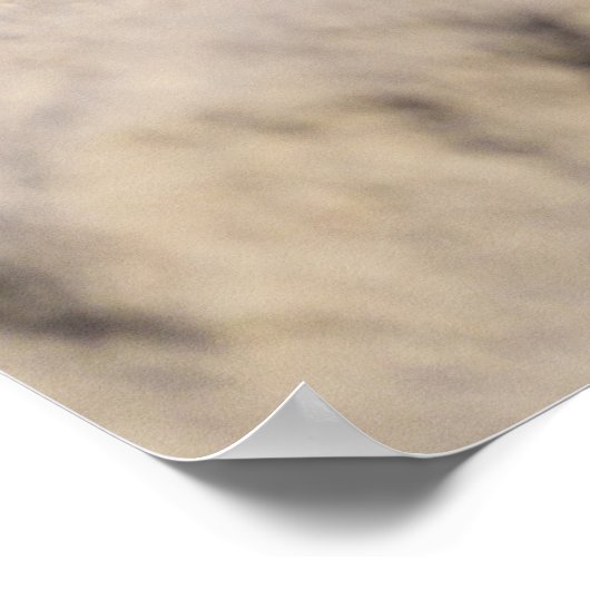 Poster Chien de prairie solitaire dans le sable (Coin)