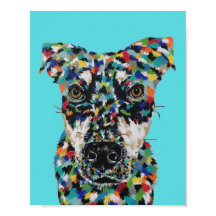 Chien de race mixte