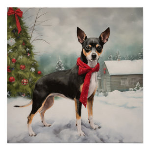 Poster Chien de Rat Terrier à Noël de neige