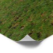 Poster Chien de repérage (Coin)