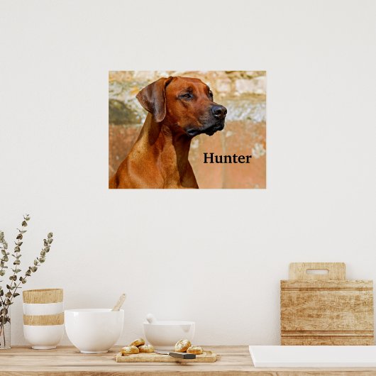 Poster Chien de Rhodesian Ridgeback (Cuisine)