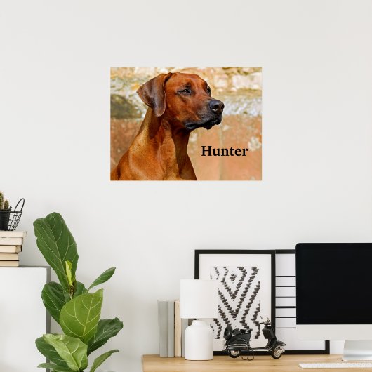 Poster Chien de Rhodesian Ridgeback (Bureau à domicile)
