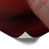 Poster Chien de taureau anglais timide (Coin)