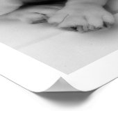 Poster Chien de taureau blanc (Coin)