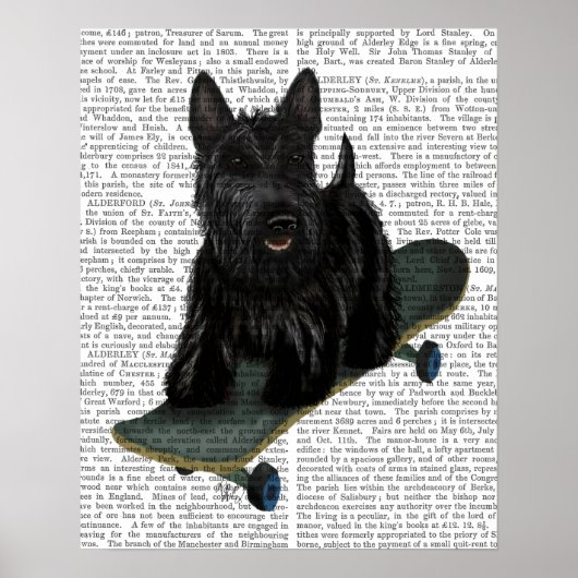 Poster Chien de taureau français (Devant)