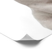 Poster Chien de taureau français (5 mois) (Coin)