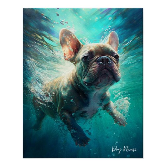 Poster Chien de taureau français nageant dans l'eau 002 (Devant)