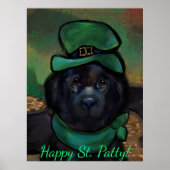 Poster Chien de Terre-Neuve (Devant)