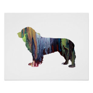 Poster Chien de Terre-Neuve