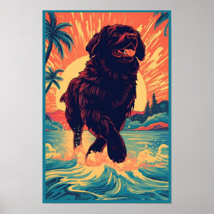 Poster Chien de Terre-Neuve à la plage