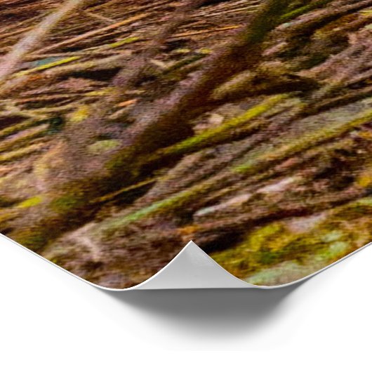 Poster Chien de Terrier. (Coin)