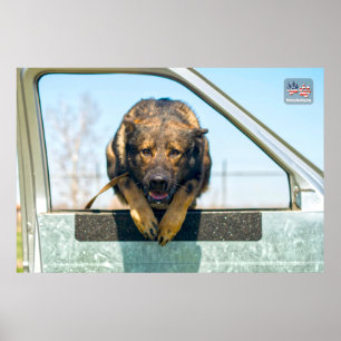 POSTER CHIEN DE TRAVAIL MILITAIRE AMÉRICAIN
