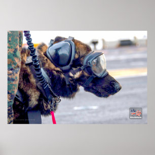 POSTER CHIEN DE TRAVAIL MILITAIRE AMÉRICAIN
