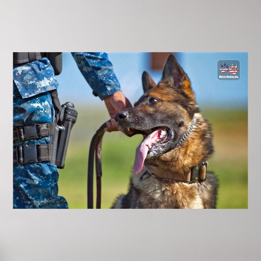 POSTER CHIEN DE TRAVAIL MILITAIRE AMÉRICAIN (Devant)