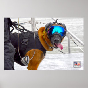 POSTER CHIEN DE TRAVAIL MILITAIRE AMÉRICAIN