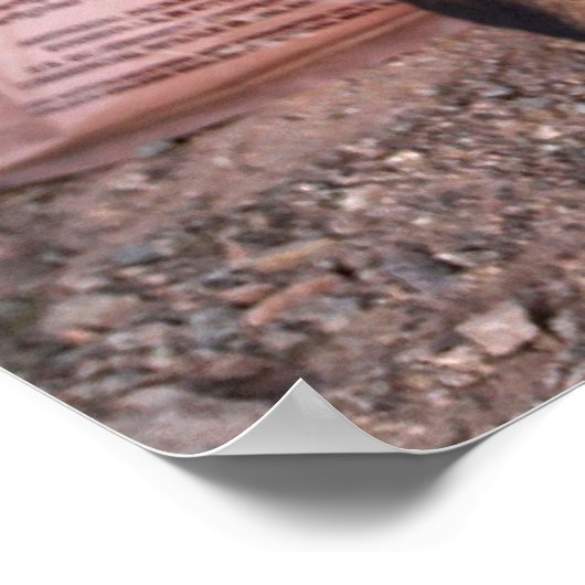 POSTER CHIEN DE TRAVAIL MILITAIRE AMÉRICAIN (Coin)