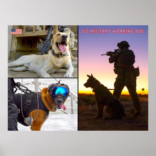 POSTER CHIEN DE TRAVAIL MILITAIRE AMÉRICAIN (Devant)