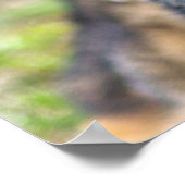 POSTER CHIEN DE TRAVAIL MILITAIRE AMÉRICAIN (Coin)