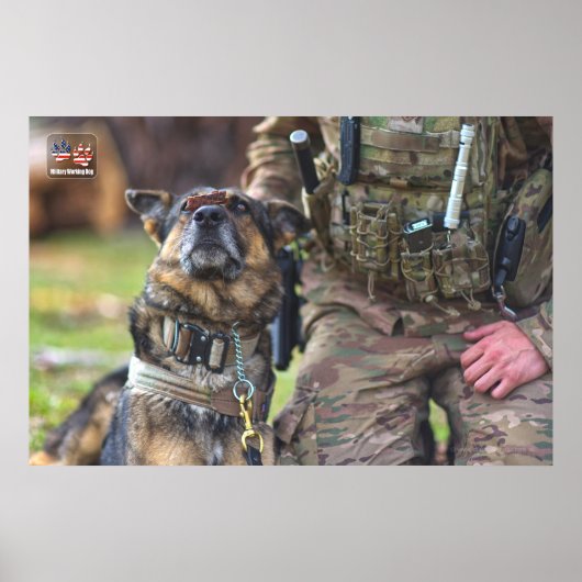 POSTER CHIEN DE TRAVAIL MILITAIRE AMÉRICAIN (Devant)