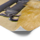 POSTER CHIEN DE TRAVAIL MILITAIRE AMÉRICAIN (Coin)