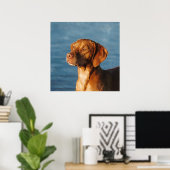 Poster Chien de Vizsla - Honte hongroise (Bureau à domicile)