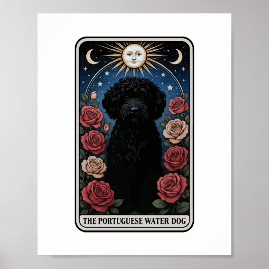 Poster Chien d'eau portugais (Devant)
