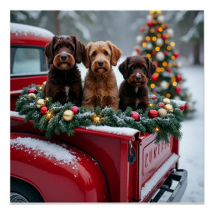 Poster Chien d'eau portugais camion rouge de Noël vacance