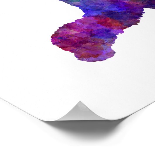 Poster Chien d'eau portugais en aquarelle (Coin)