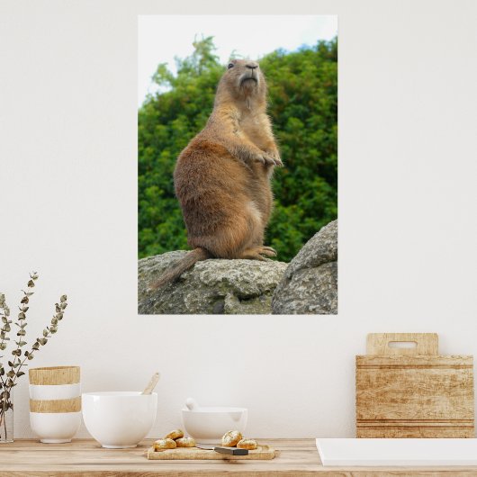 Poster Chien des Prairies (Cuisine)