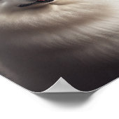 Poster Chien d'eskimo américain avec anniversaire de ball (Coin)