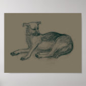 Poster Chien. Dessin au crayon. (Devant)